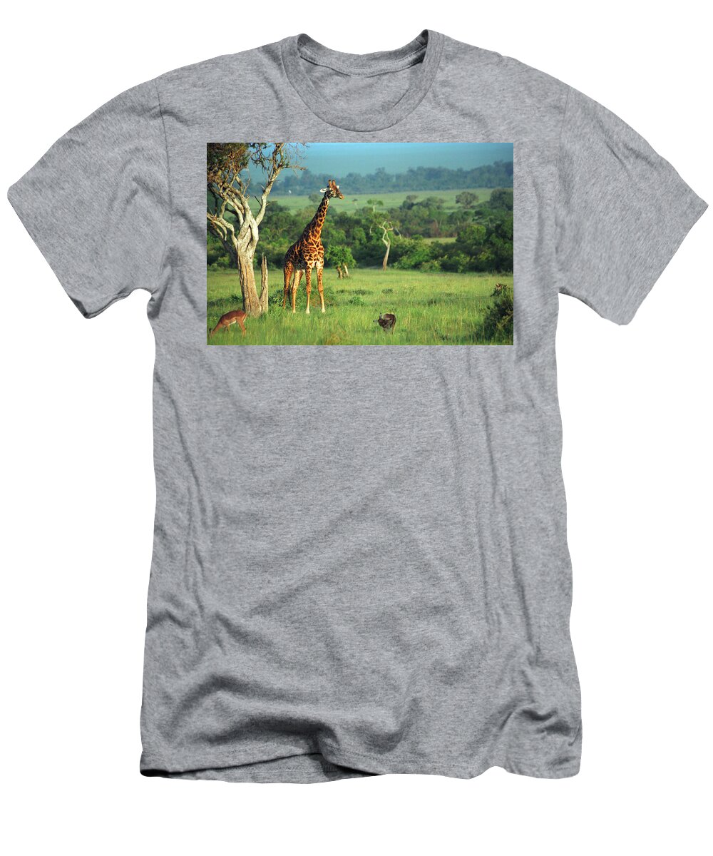 Giraffe T-Shirt featuring the photograph Giraffe by Sebastian Musial