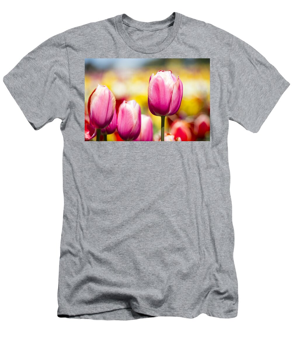 Bulb T-Shirt featuring the photograph Tulip plants with flowers in full bloom #3 by John Trax