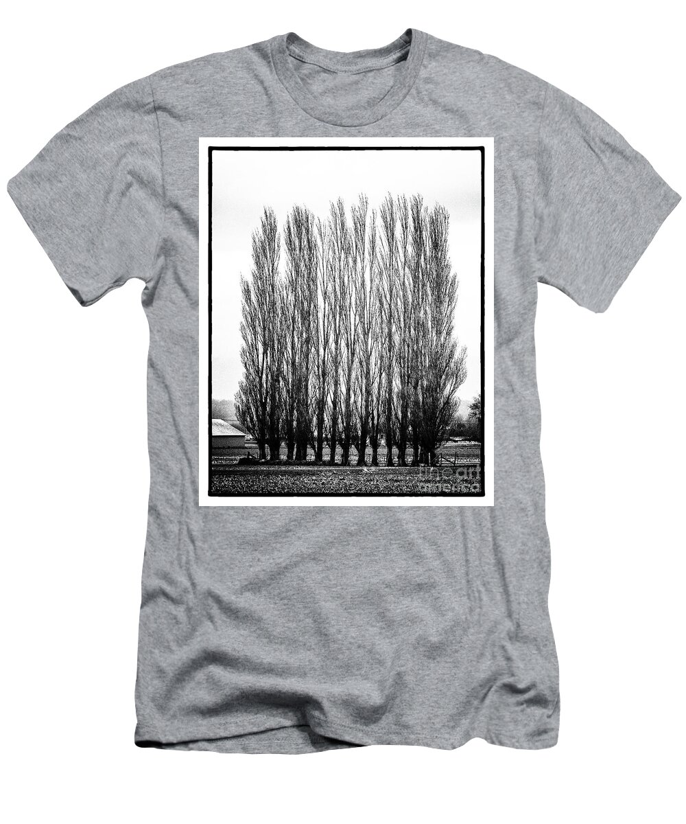 Trees T-Shirt featuring the photograph Untitled #4 by John Greco