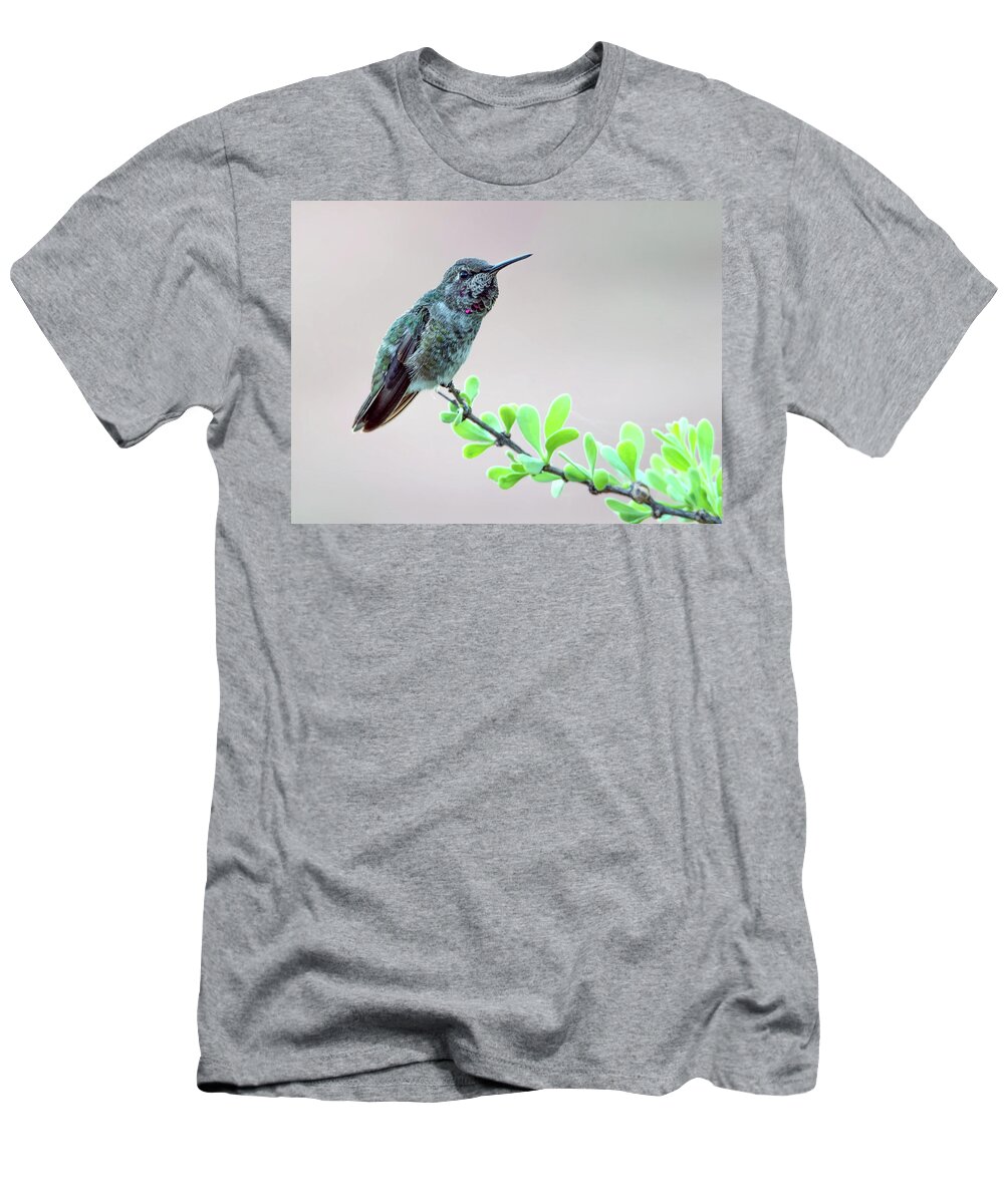 Anna's T-Shirt featuring the photograph Anna's Hummingbird #5 by Tam Ryan
