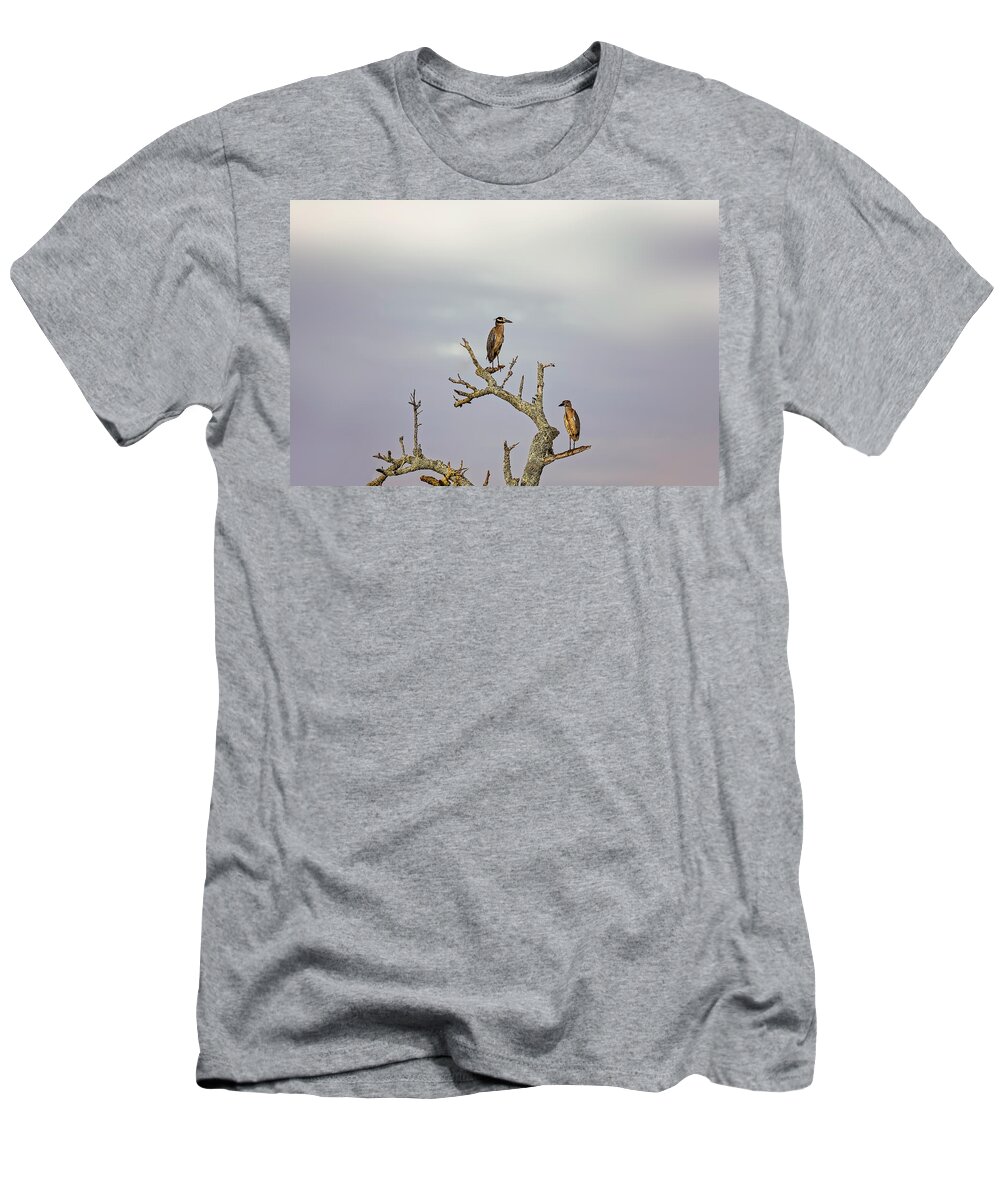Animal T-Shirt featuring the photograph Green Heron by Peter Lakomy
