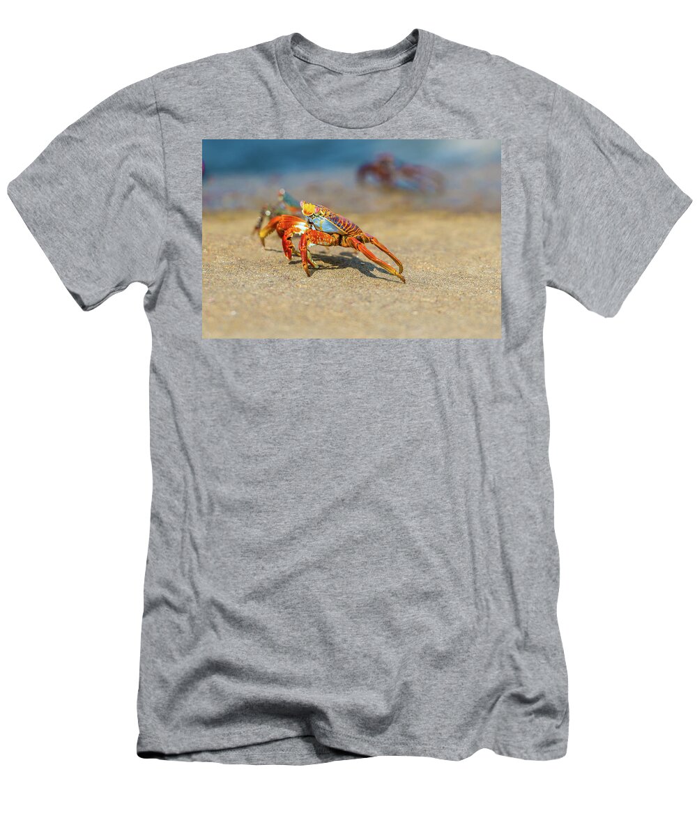 Galapagos Islands T-Shirt featuring the photograph Sally Lightfoot crab on Galapagos Islands #4 by Marek Poplawski