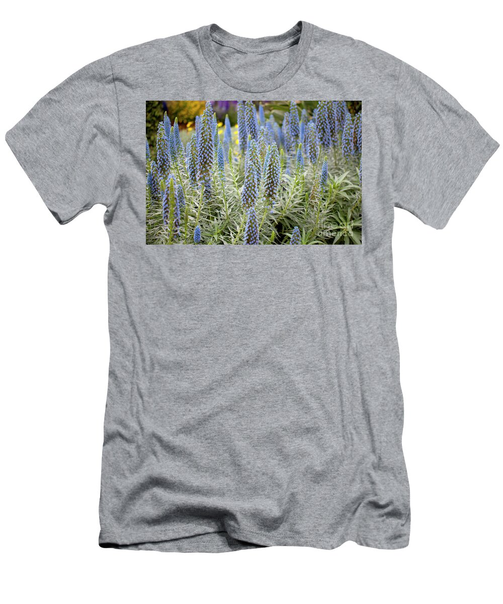 Echium Candicans T-Shirt featuring the photograph Select Blue Pride-of-Madeira #4 by Anthony Totah