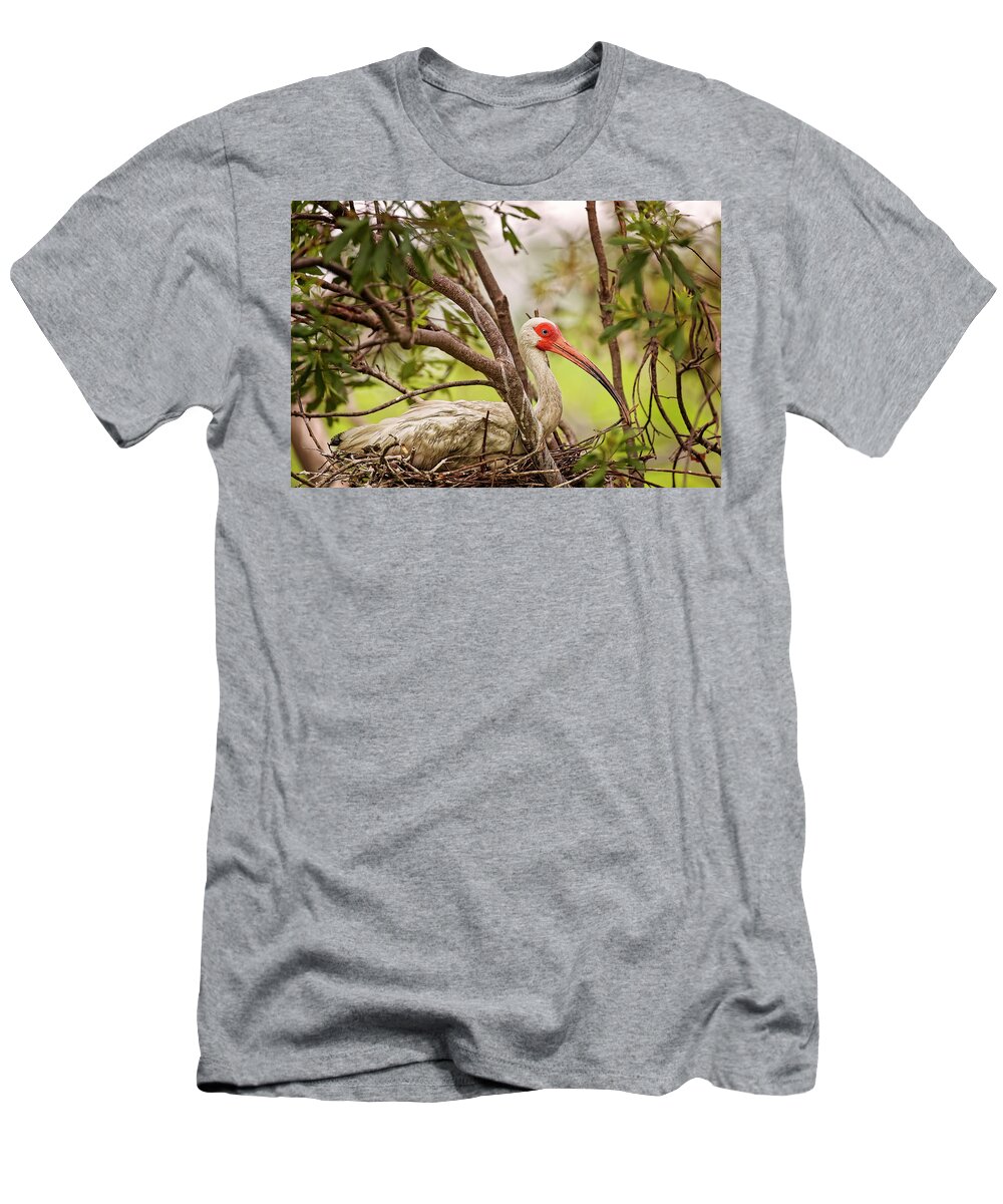 Albus T-Shirt featuring the photograph White Ibis in Hilton Head Island #4 by Peter Lakomy