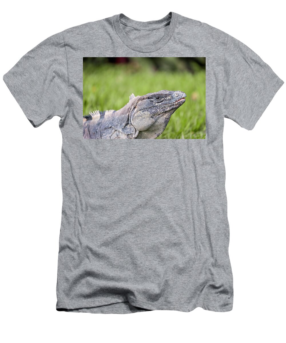 Animal T-Shirt featuring the photograph Iguana #5 by Peter Lakomy