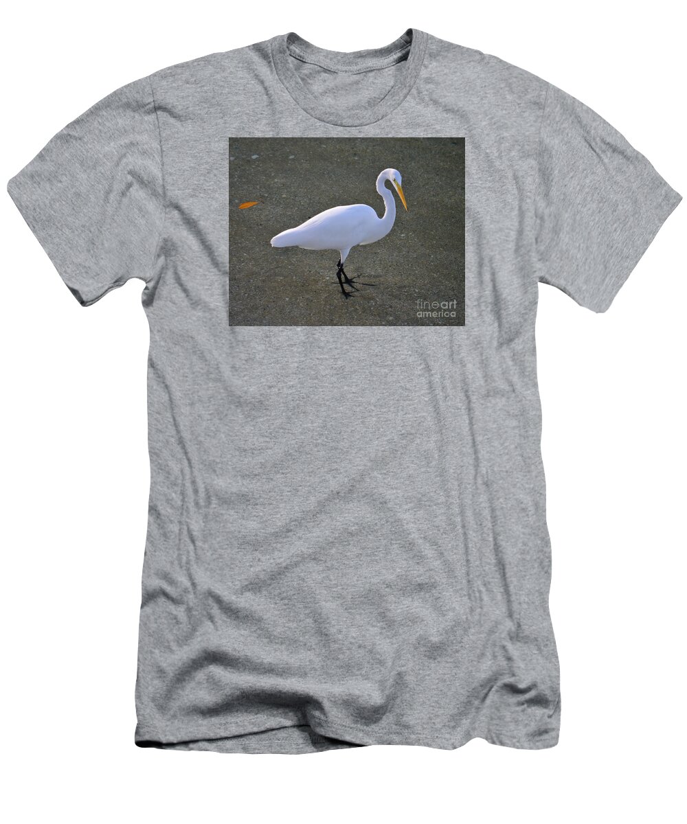 Great Egret T-Shirt featuring the photograph 59- Great Egret by Joseph Keane
