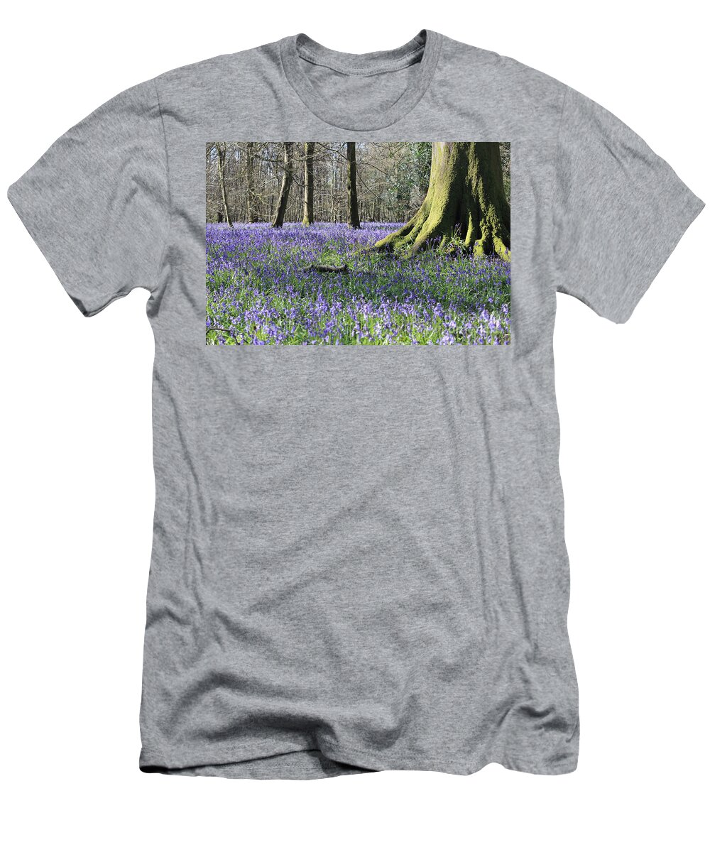 Bluebells Near Effingham In The Surrey Hills England Uk T-Shirt featuring the photograph Bluebells near Effingham in the Surrey Hills England UK #8 by Julia Gavin