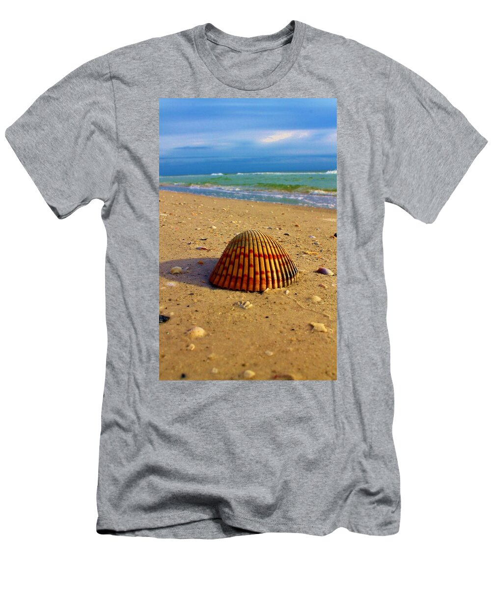 Bradenton Beach T-Shirt featuring the photograph A Big Shell by Catie Canetti