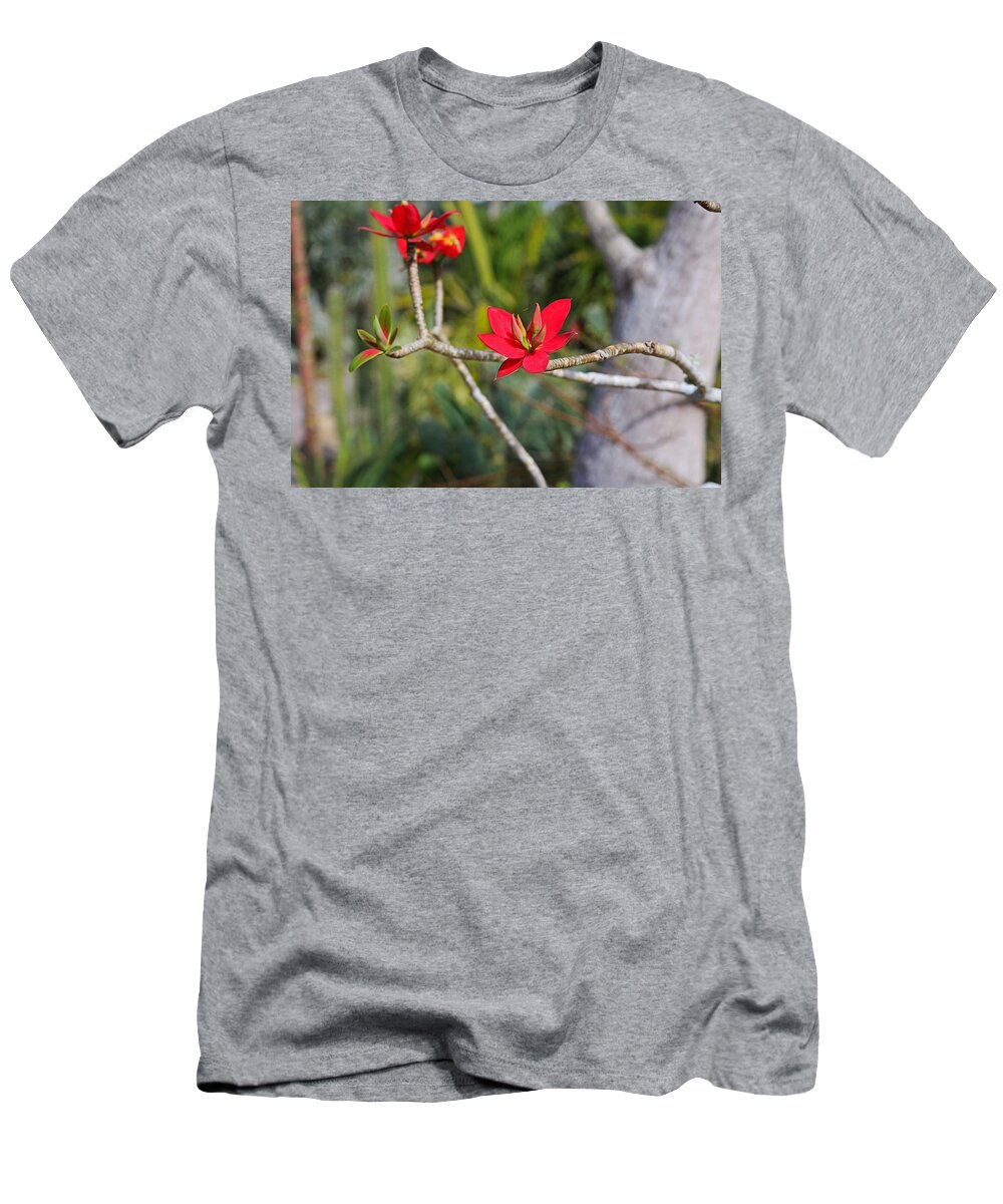 Red T-Shirt featuring the photograph A Dash of Red by Michiale Schneider