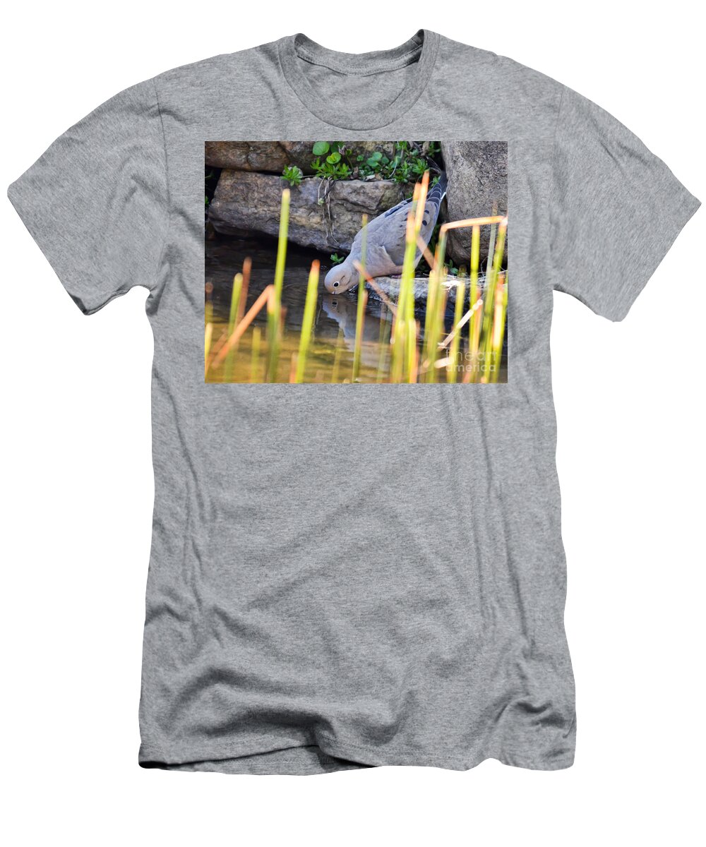 Mourning Dove T-Shirt featuring the photograph A Drink in Private by Kerri Farley