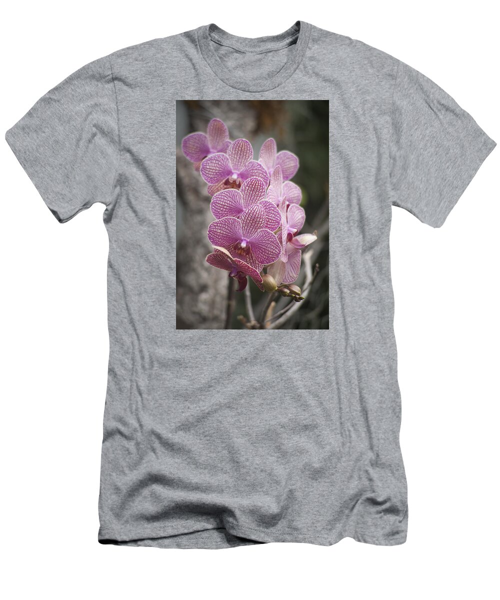  Flower T-Shirt featuring the photograph A Flight of Orchids by Morris McClung