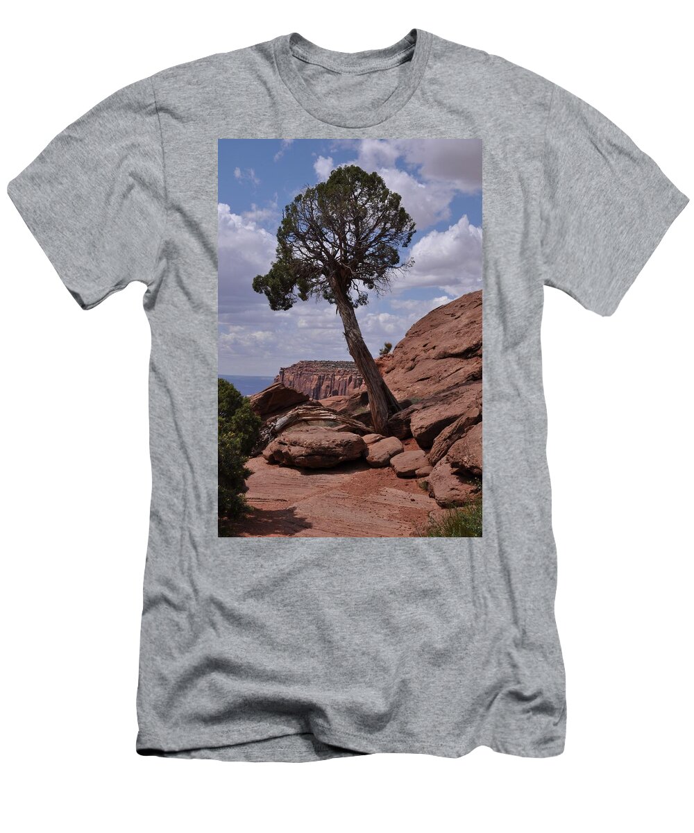 Canyonlands National Park T-Shirt featuring the photograph A Lone Tree by Frank Madia