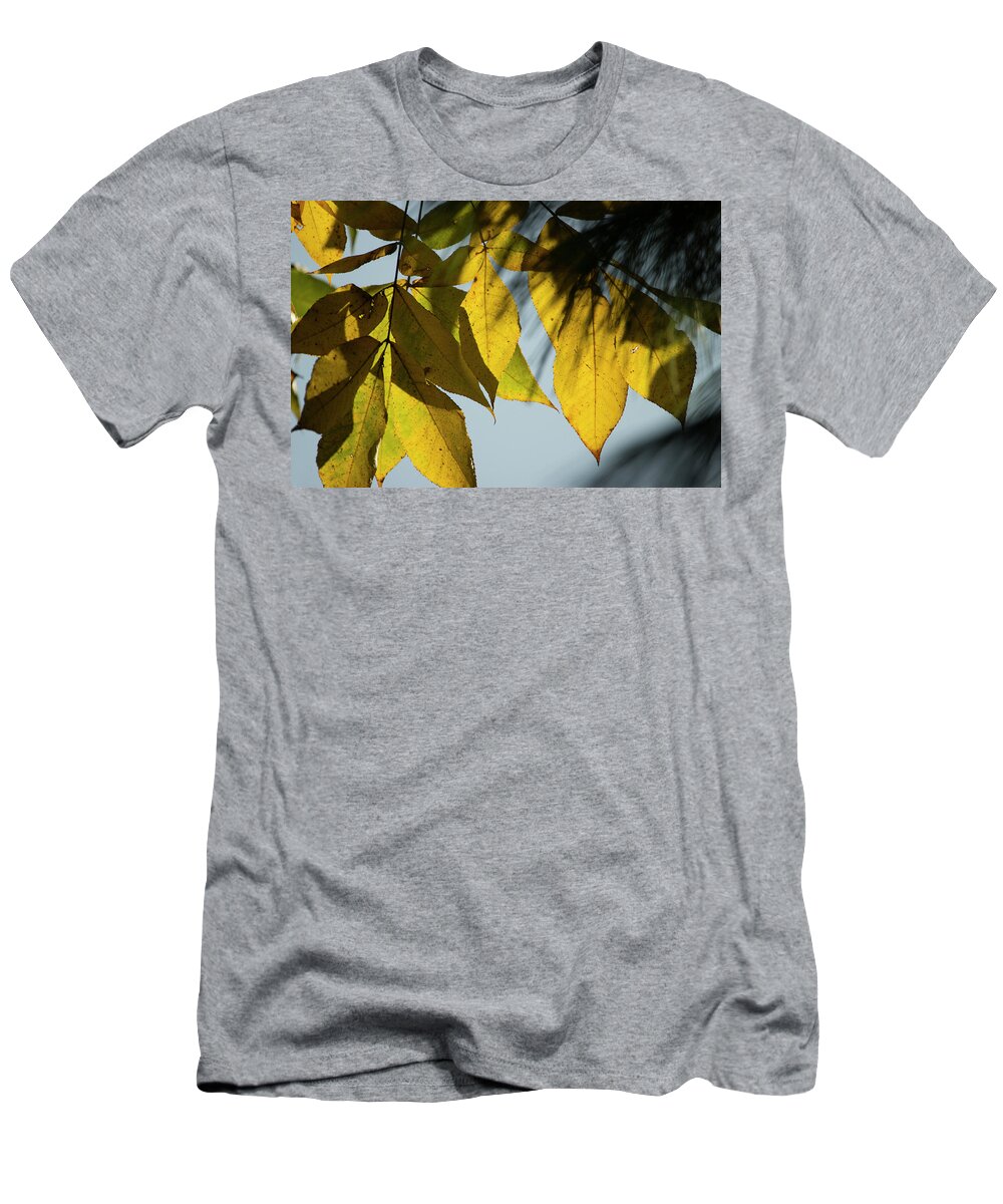 Fall Leaves T-Shirt featuring the photograph A Season Of Change by Mike Eingle