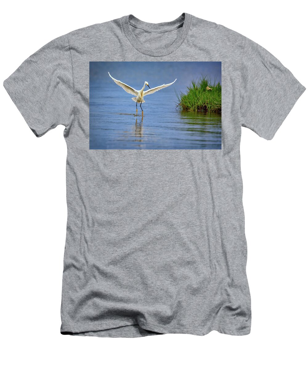 Snowy Egret T-Shirt featuring the photograph A Snowy Egret Dip-Fishing by Rick Berk