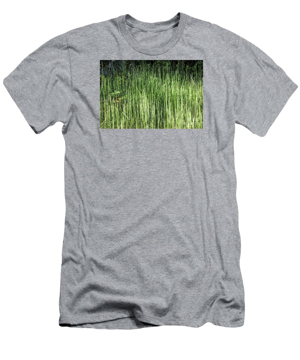  Sierras T-Shirt featuring the photograph Abstract Reeds by Timothy Hacker