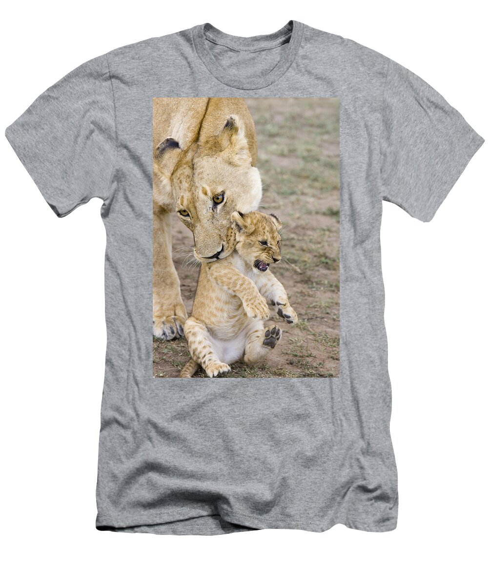 00761319 T-Shirt featuring the photograph African Lion Mother Picking Up Cub by Suzi Eszterhas