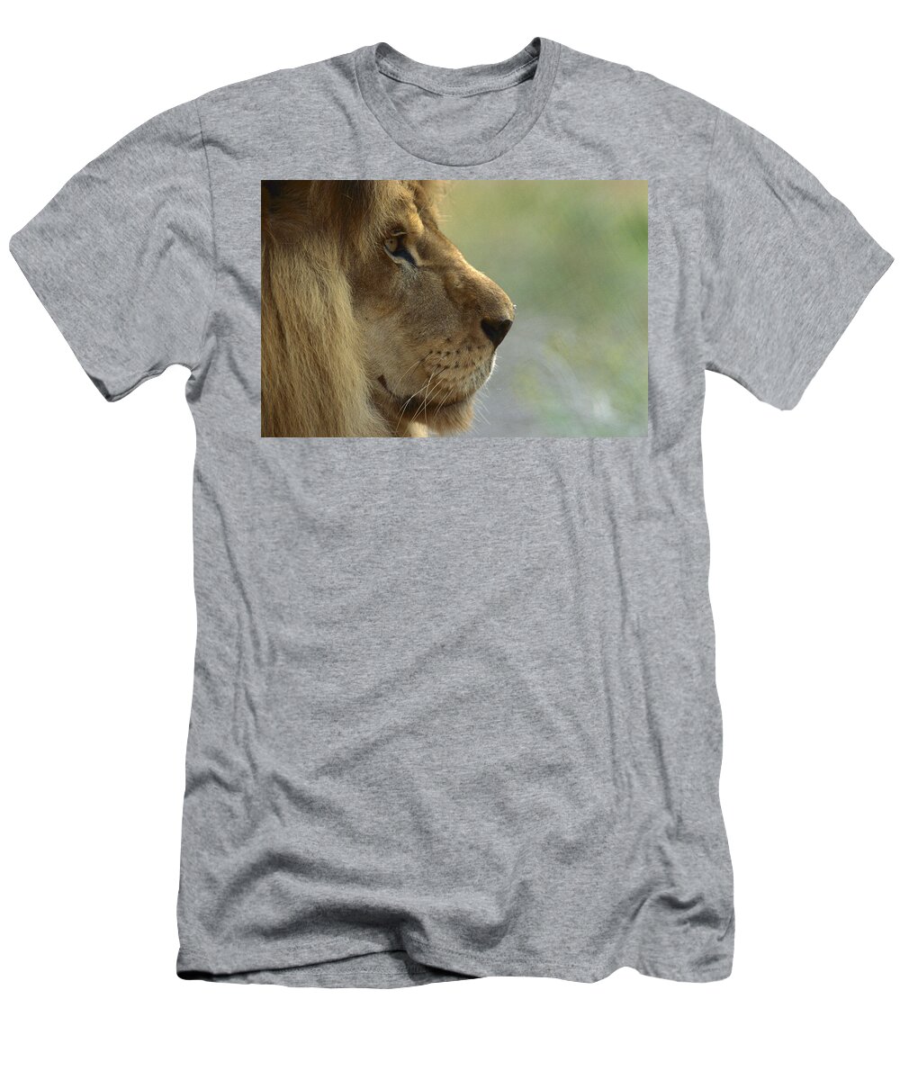 Mp T-Shirt featuring the photograph African Lion Panthera Leo Male Portrait by Zssd
