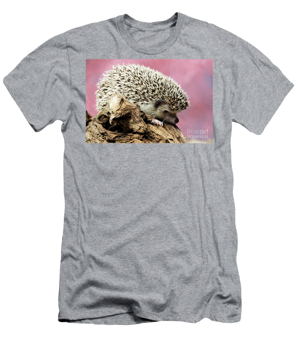 African T-Shirt featuring the photograph African Pygmy Hedgehog by Les Palenik
