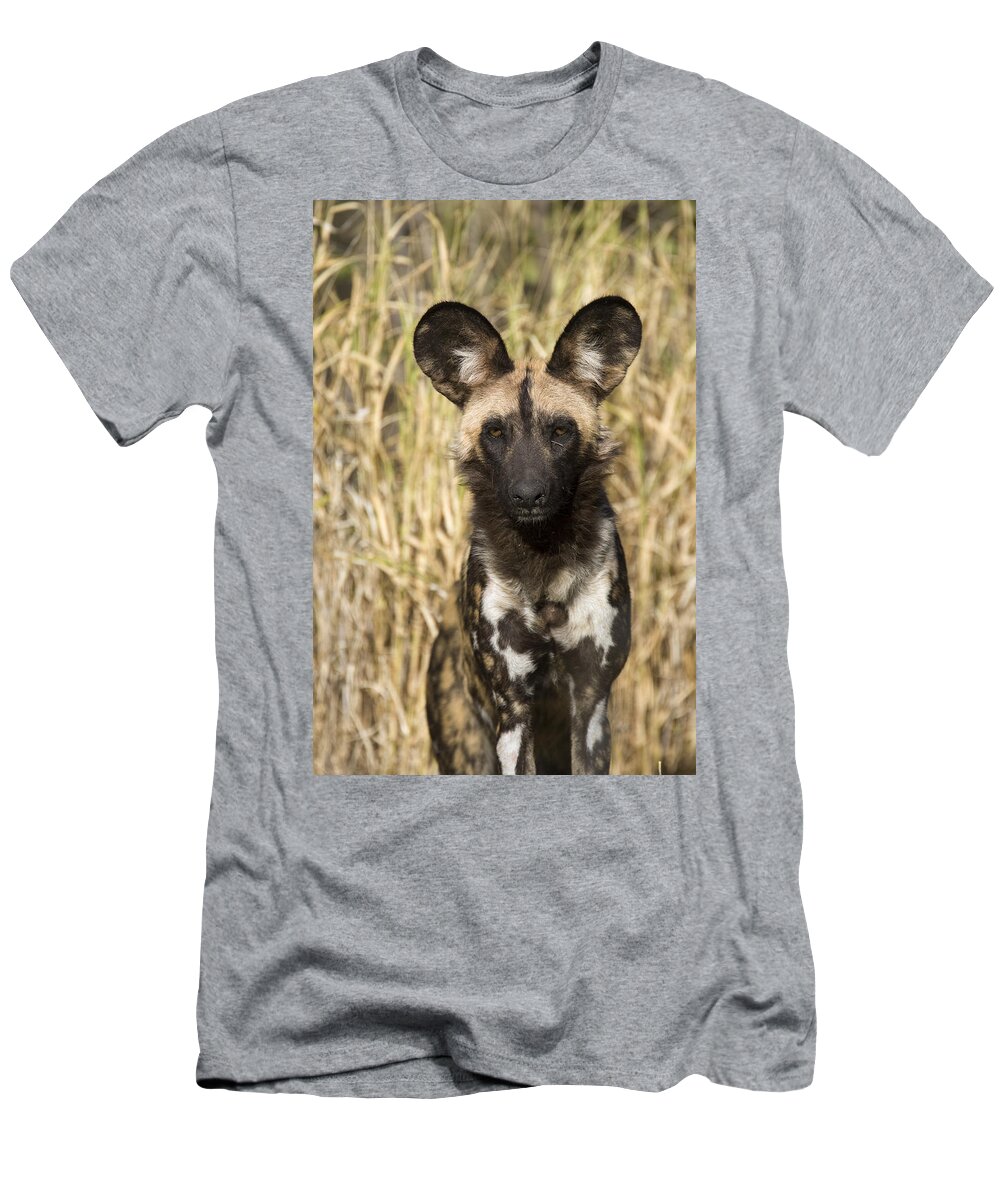 00426044 T-Shirt featuring the photograph African Wild Dog Okavango Delta Botswana by Suzi Eszterhas