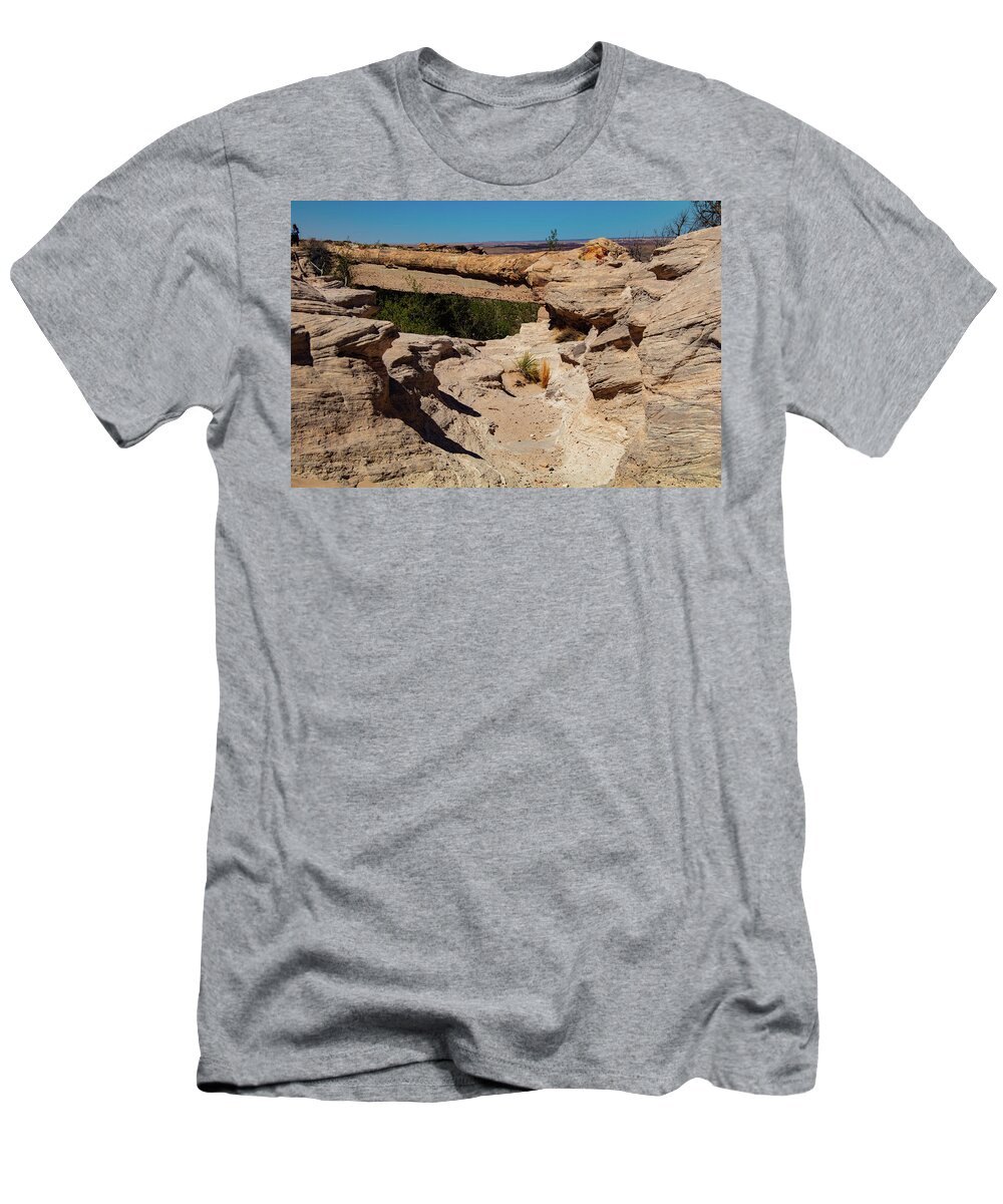 Agate Bridge T-Shirt featuring the photograph Agate Bridge - Petrified Forest National Park by Jeff Folger