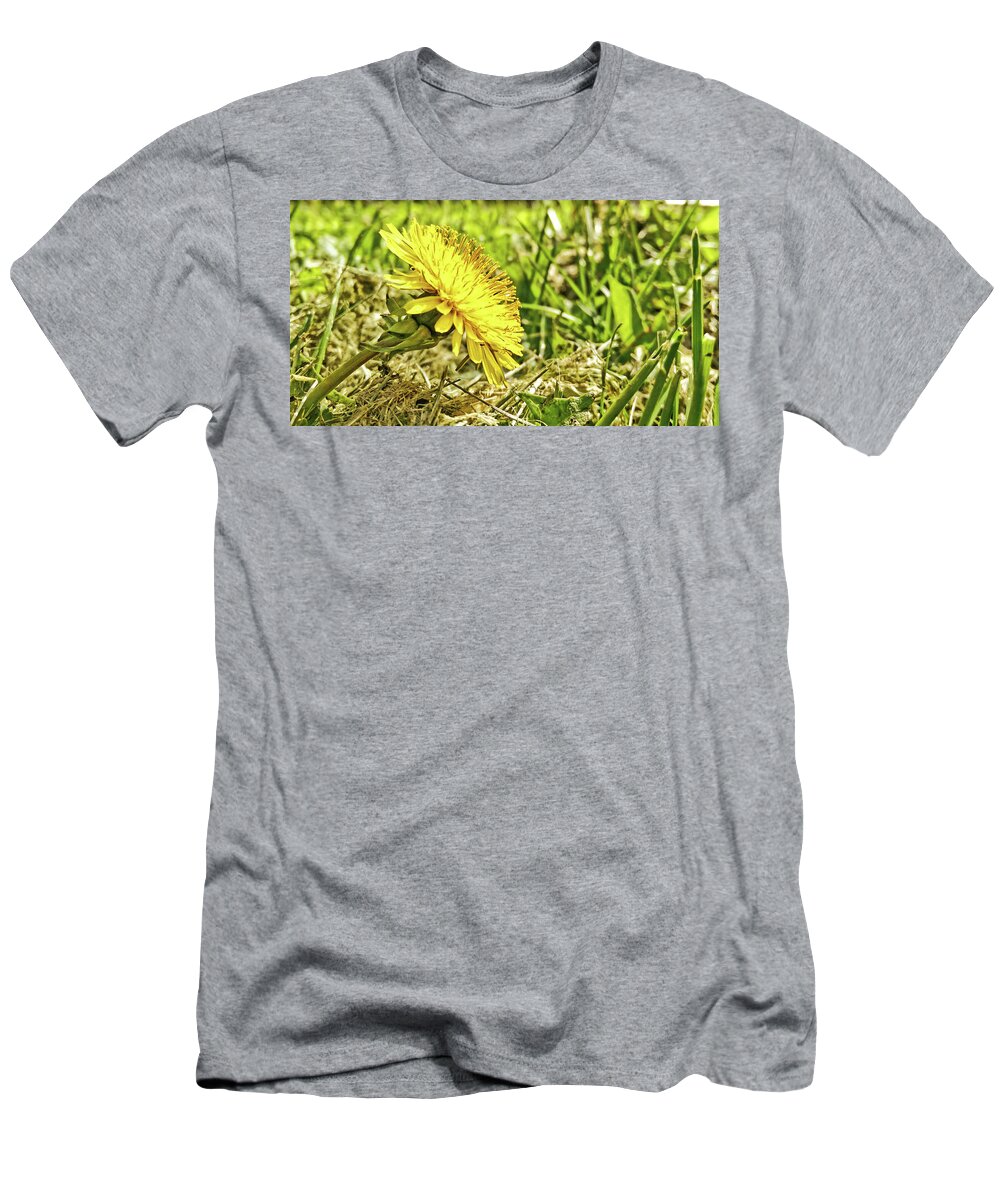 Dandelion T-Shirt featuring the photograph Aim High by Robert Knight