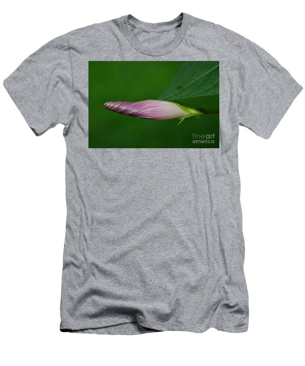 Morning Glory T-Shirt featuring the photograph All Wound Up by Dani McEvoy