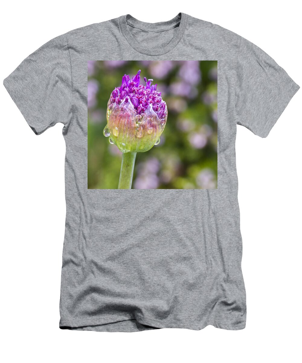 Allium T-Shirt featuring the photograph Allium Bud by Diane Fifield