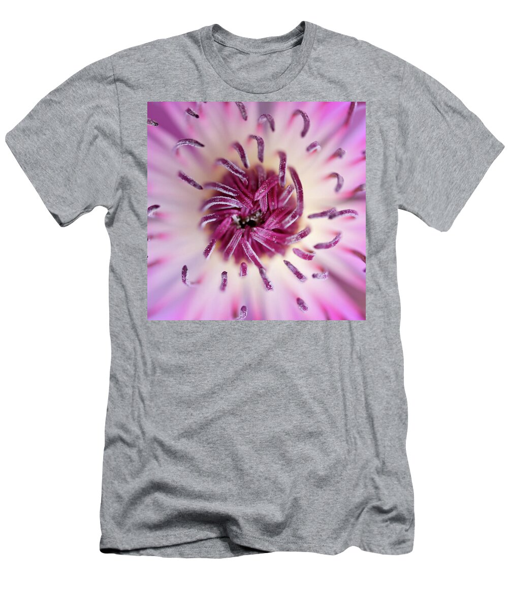 Amaryllis T-Shirt featuring the photograph Amaryllis by Nigel R Bell