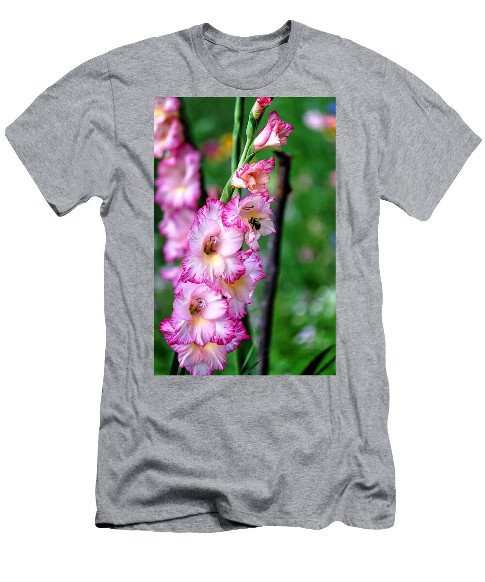 Amaryllis Flower T-Shirt featuring the photograph Amaryllis by Ronda Ryan