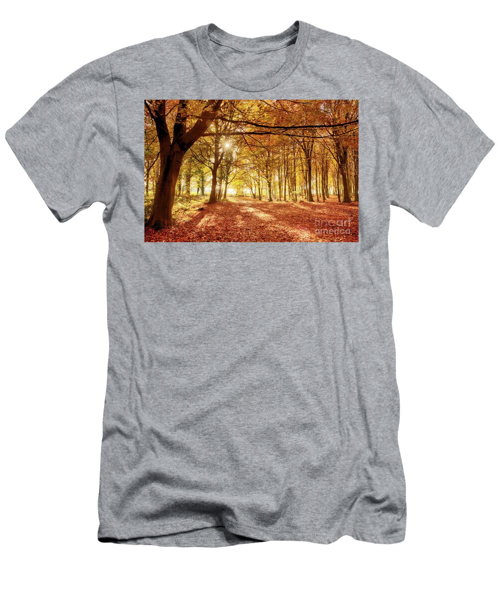 Woodland T-Shirt featuring the photograph Amazing forest colours in autumn fall by Simon Bratt