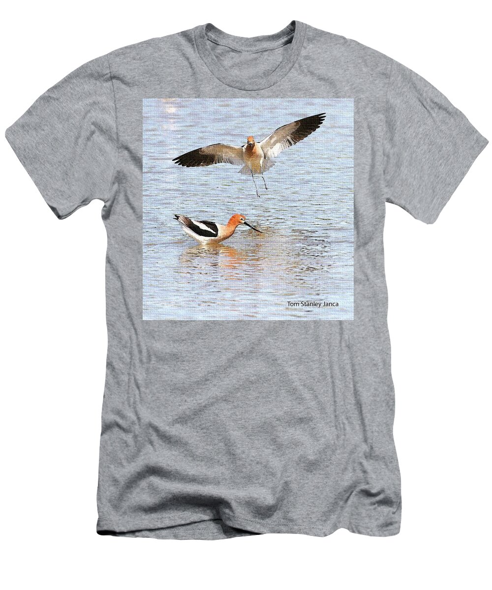 American Avocets T-Shirt featuring the photograph American Avocets by Tom Janca