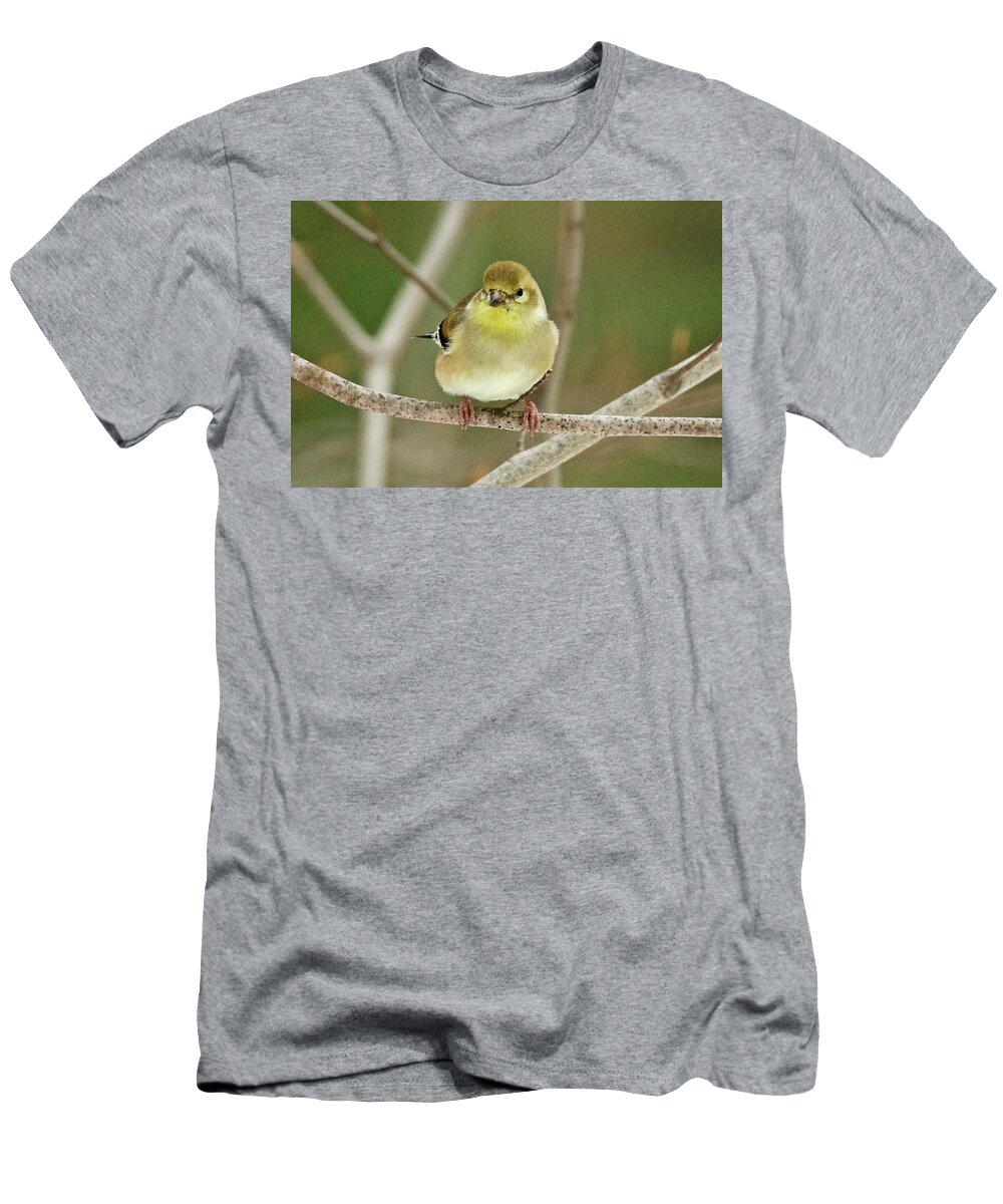 American T-Shirt featuring the photograph American Goldfinch 011 by Michael Peychich