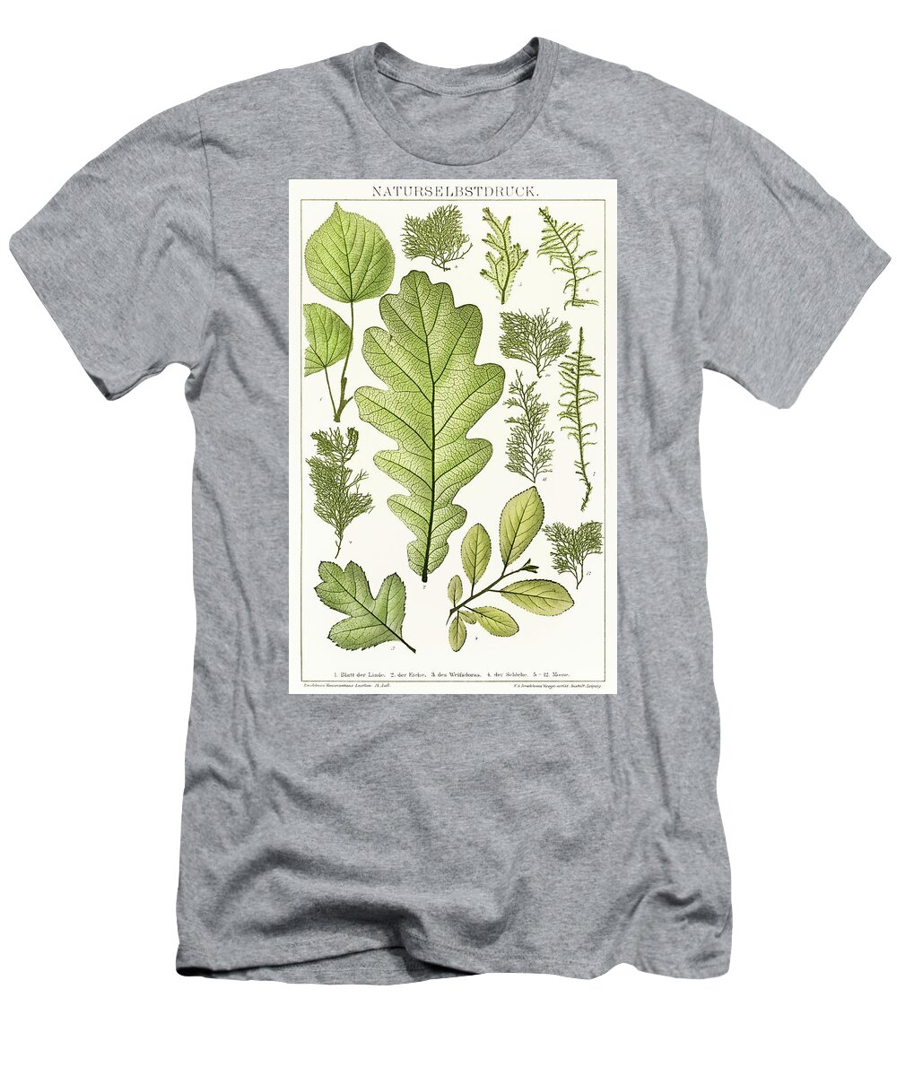 Antique T-Shirt featuring the drawing An arrangement of nature painting of various leaves by Vincent Monozlay