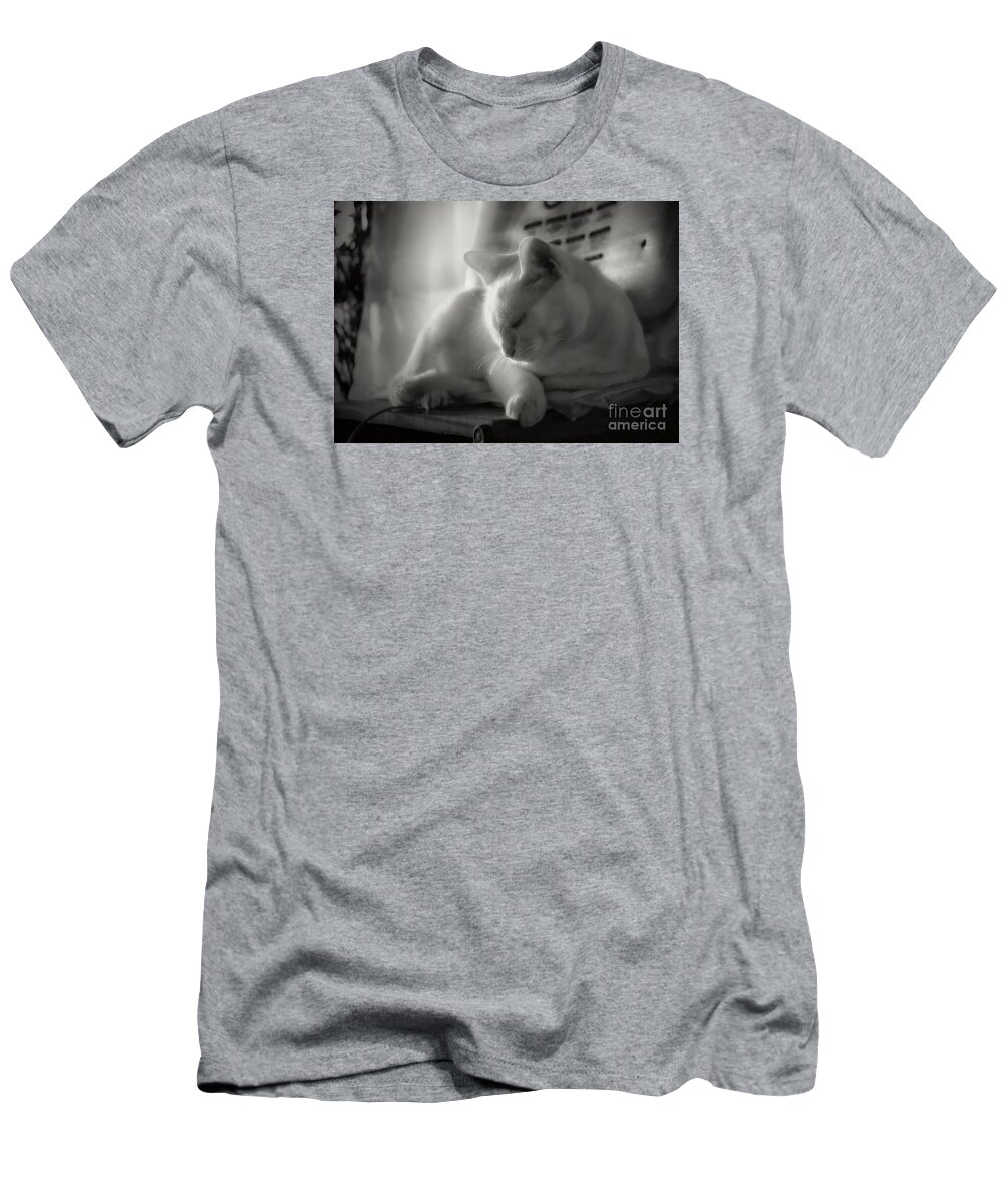 John+kolenberg T-Shirt featuring the photograph And The Sun Still Shines On My Cat by John Kolenberg