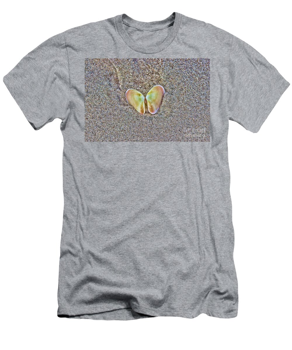 Shell T-Shirt featuring the photograph Angel Shell by Roberta Byram