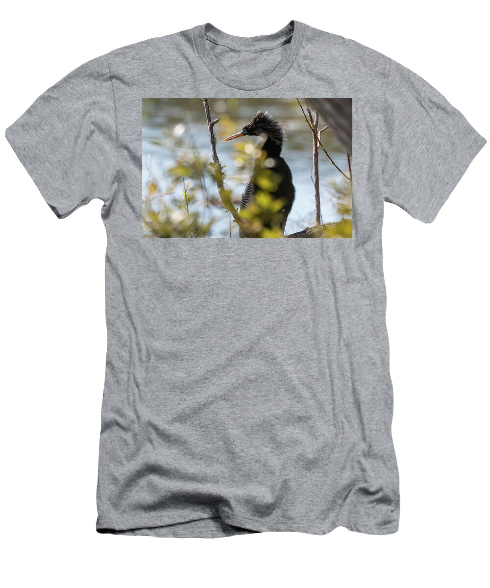 Anhinga T-Shirt featuring the photograph Anhinga 3 March 2018 by D K Wall