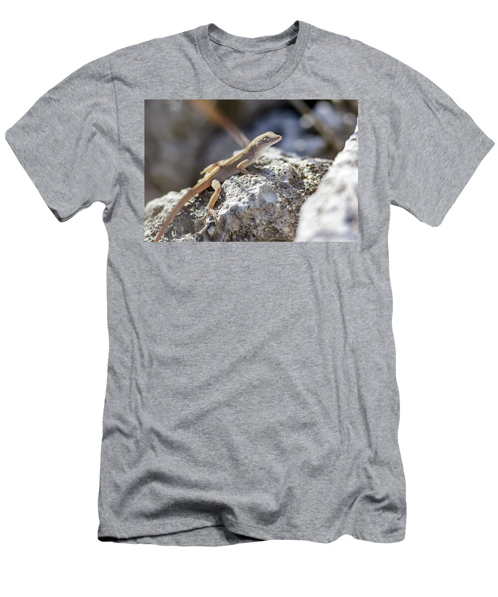 Anole T-Shirt featuring the photograph Anole by Glenn Woodell
