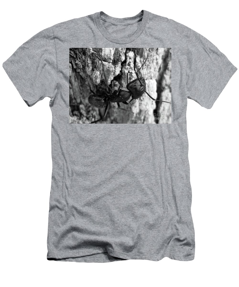 Ant T-Shirt featuring the photograph Ant by Savannah Gibbs