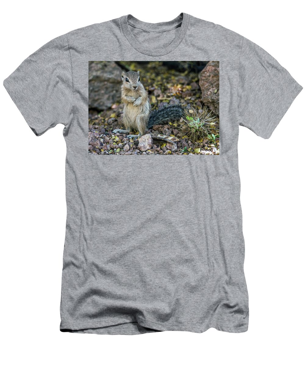 Antelope T-Shirt featuring the photograph Antelope Squirrel 6632-041818-1cr by Tam Ryan