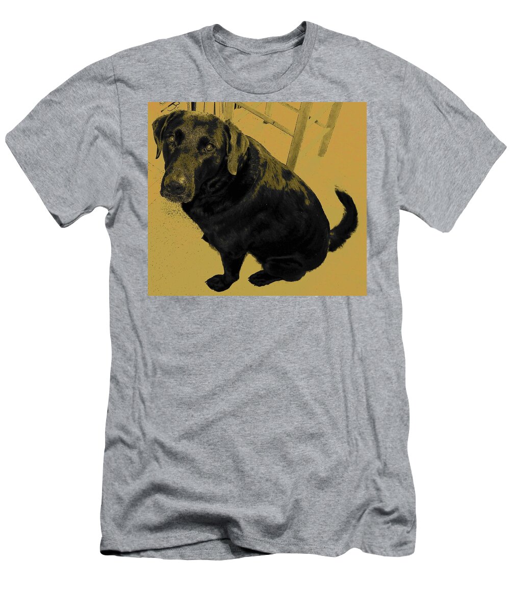 Dog T-Shirt featuring the photograph Any Chance I Can Go With You by Lenore Senior