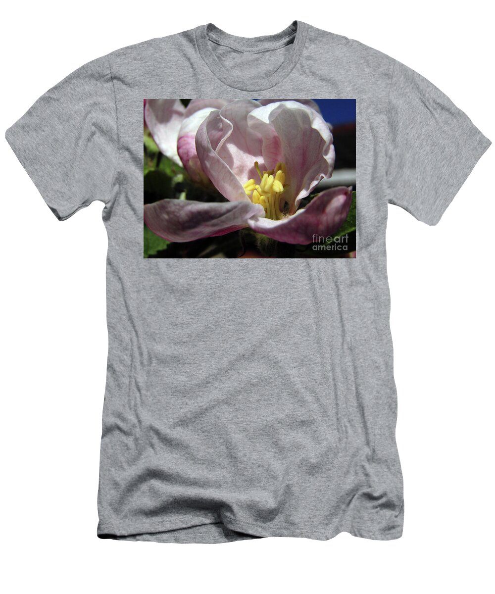 Apple Blossoms T-Shirt featuring the photograph Apple Blossoms 4 by Kim Tran