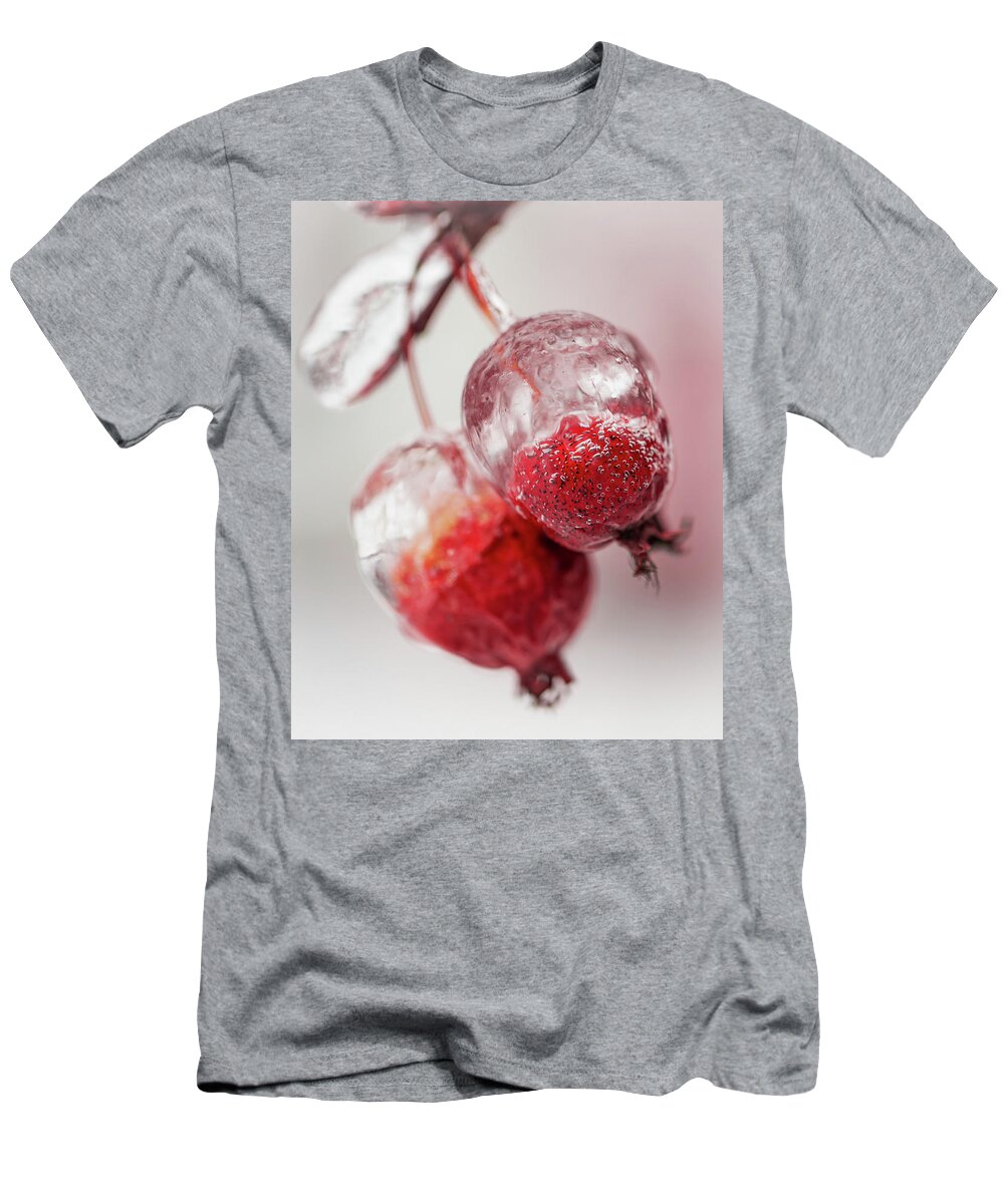 Awakening T-Shirt featuring the photograph April Ice Storm Apples by Jakub Sisak