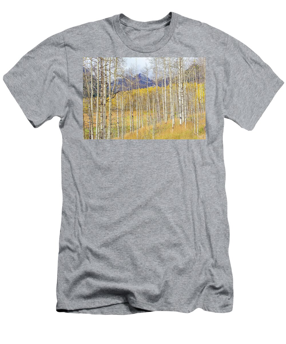 Colorado T-Shirt featuring the photograph Aspen Ambience by Eric Glaser