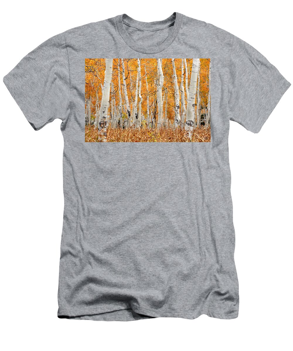 Aspen T-Shirt featuring the photograph Aspen Forest in Fall by Brett Pelletier