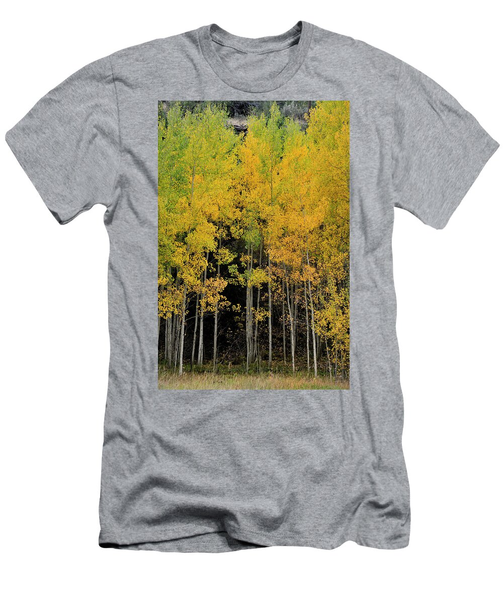 Landscape T-Shirt featuring the photograph Aspen Haven by Ron Cline