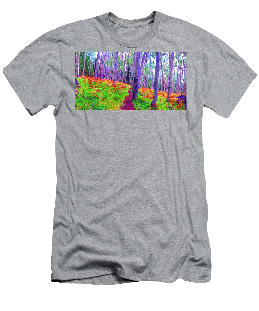 San Francisco Peaks T-Shirt featuring the photograph Aspens in Wonderland by Michael Oceanofwisdom Bidwell