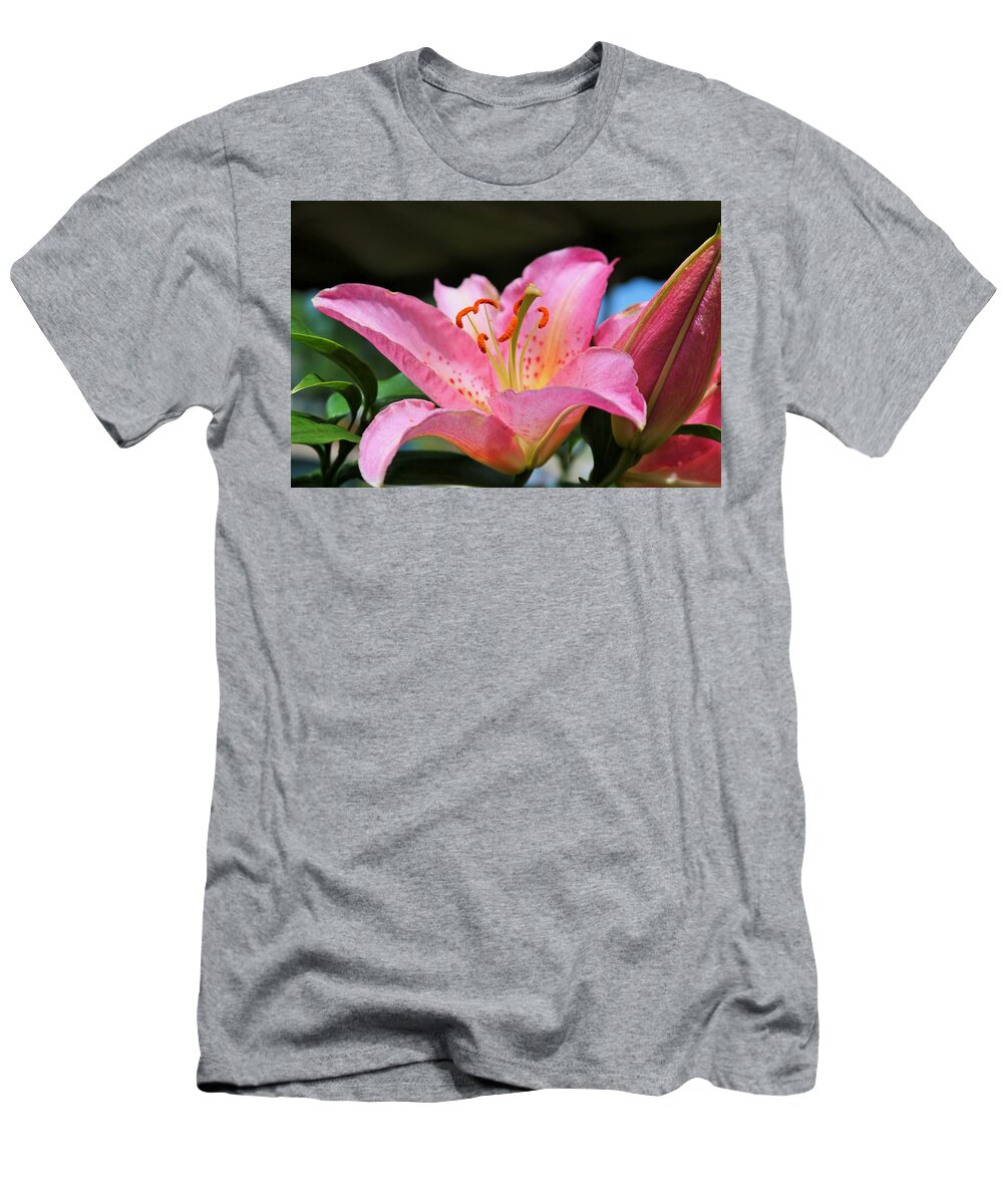 Pink T-Shirt featuring the photograph At a Crossroads by Michiale Schneider