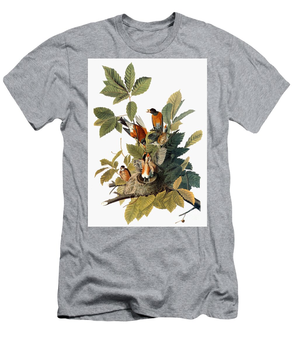 1838 T-Shirt featuring the photograph Audubon: Robin by Granger