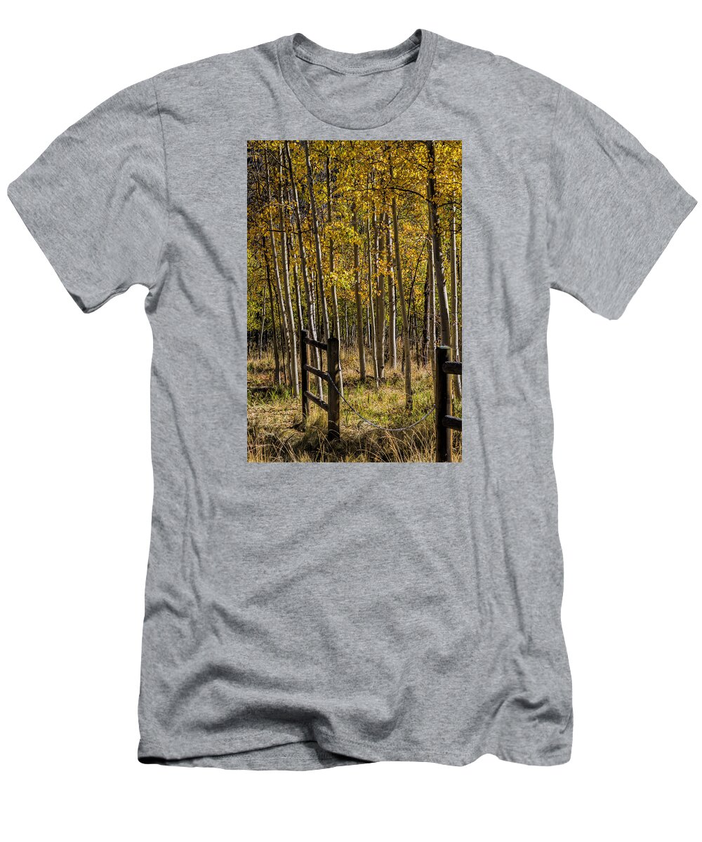 Autumn T-Shirt featuring the photograph Autumn Contained by Alana Thrower