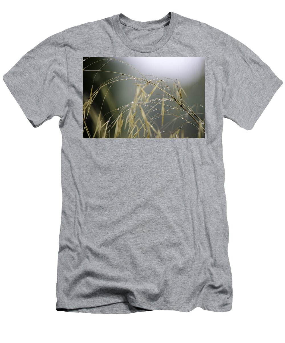 Autumn T-Shirt featuring the photograph Autumn dew on grass by Spikey Mouse Photography